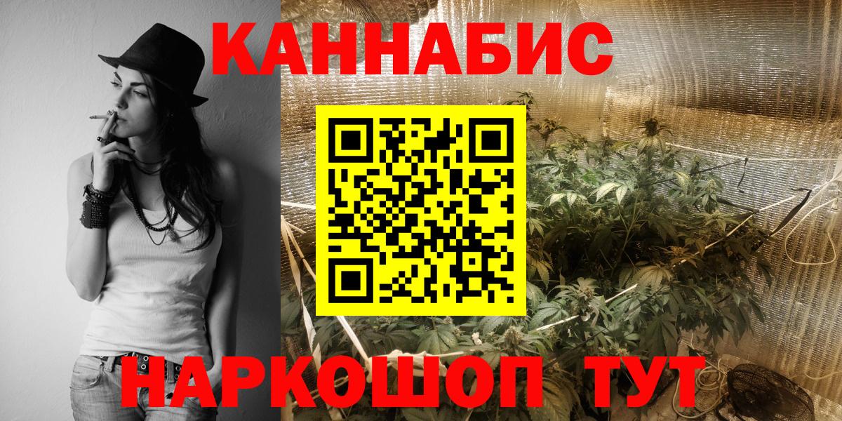 Шишки марихуана сатива  Канабис конопля  Лесной  Вход с VPN  Конопля индика 